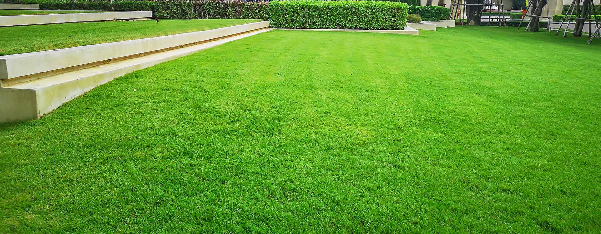 Landscaping Services