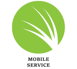 mobile services